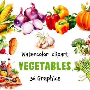 Gemüse Aquarell Clipart, Korb mit Gemüse vom Bauernhof, Gartenarbeit, schöne Gemüse, Gemüse, 36 Grafiken, digitaler Download