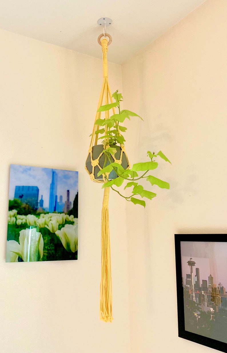 Macrame Plant Hanger Josephine Knot Natural Cotton Cord Etsy