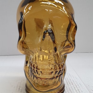 Glass Skull Mannequin Head *Life Size 10.5&quot; Tall* Thick Glass *NEW COLORS COMING!!*