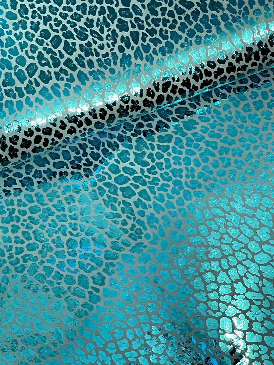 turquoise leopard print top