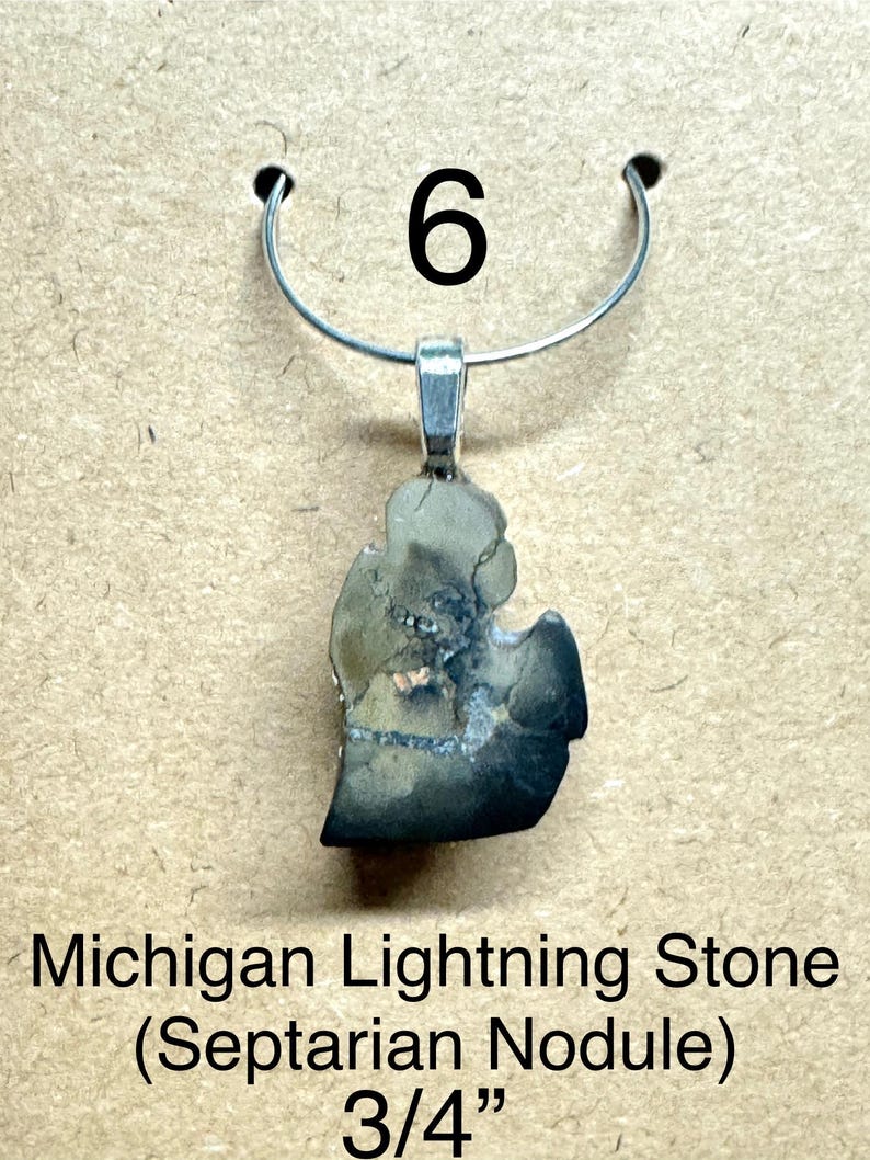 May include: A pendant featuring a Michigan Lightning Stone (Septarian Nodule) in the shape of the state. The stone is approximately 3/4 inch in size and is attached to a silver-colored bail and a silver-colored necklace loop. The number "6" is above the pendant.