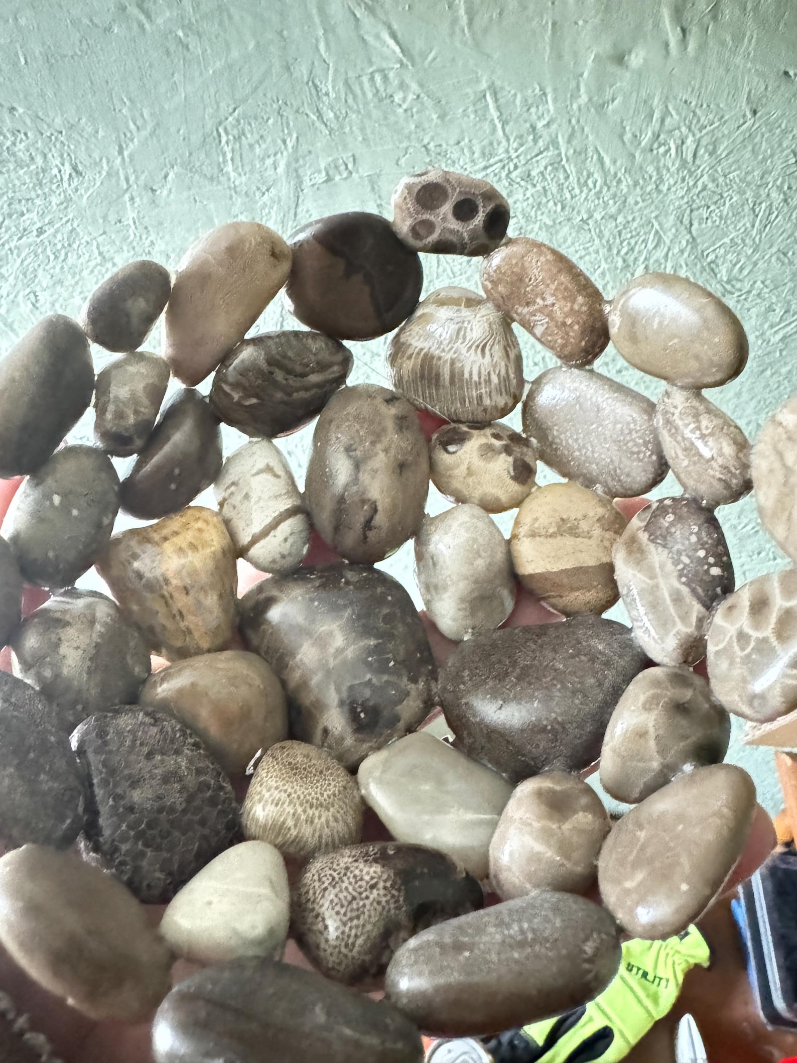 Handcrafted Rock Bowls – Michigan Pudding Stones, Coral Fossils, and ...