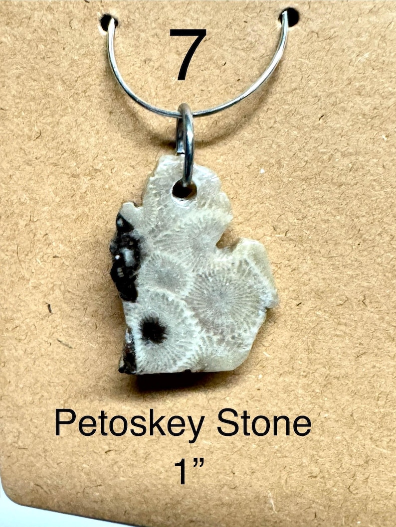 May include: A Petoskey stone pendant in the shape of the state of Michigan, with a silver-colored metal loop. The stone is light beige with a distinctive pattern and dark spots. The text "Petoskey Stone" and "1" are visible.