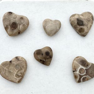 Handcrafted Petoskey Stone Heart Magnets: Michigan Beach Decor