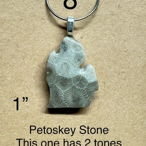 May include: A Petoskey stone pendant in the shape of the state of Michigan, approximately 1 inch in length. The stone has a two-tone appearance with a silver-colored bail and a metal loop for hanging. The number "8" is above the pendant.