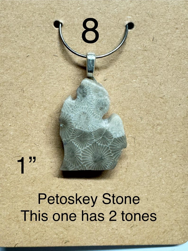 May include: A Petoskey stone pendant in the shape of the state of Michigan, approximately 1 inch in length. The stone has a two-tone appearance with a silver-colored bail and a metal loop for hanging. The number "8" is above the pendant.