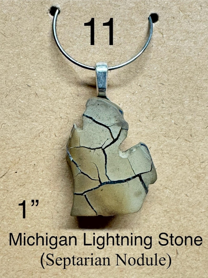 May include: A pendant featuring a Michigan Lightning Stone (Septarian Nodule) in the shape of the state of Michigan. The stone is approximately 1 inch in length and has a cracked, beige appearance. The pendant hangs from a silver-colored bail.