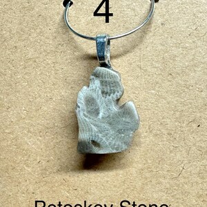 May include: A Petoskey stone pendant, approximately 0.75 inches in size, hangs from a silver-colored bail and chain. The stone is a light gray color with a unique fossilized pattern. The number "4" is printed above the pendant.