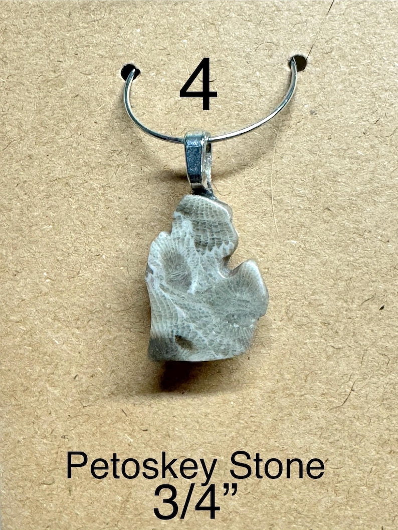 May include: A Petoskey stone pendant, approximately 0.75 inches in size, hangs from a silver-colored bail and chain. The stone is a light gray color with a unique fossilized pattern. The number "4" is printed above the pendant.