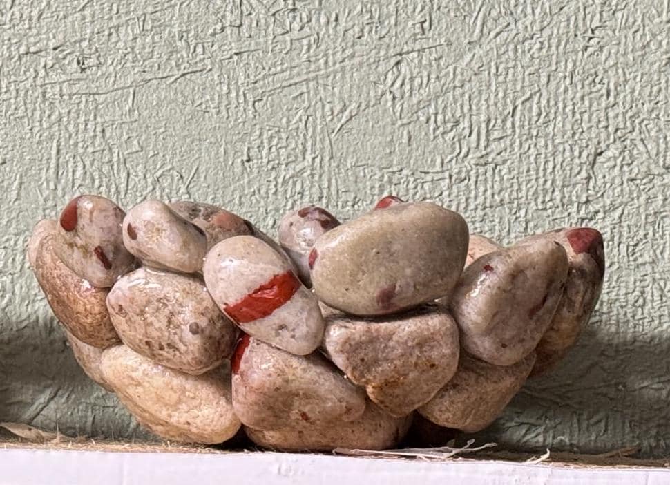 Handcrafted Rock Bowls – Michigan Pudding Stones, Coral Fossils, and ...