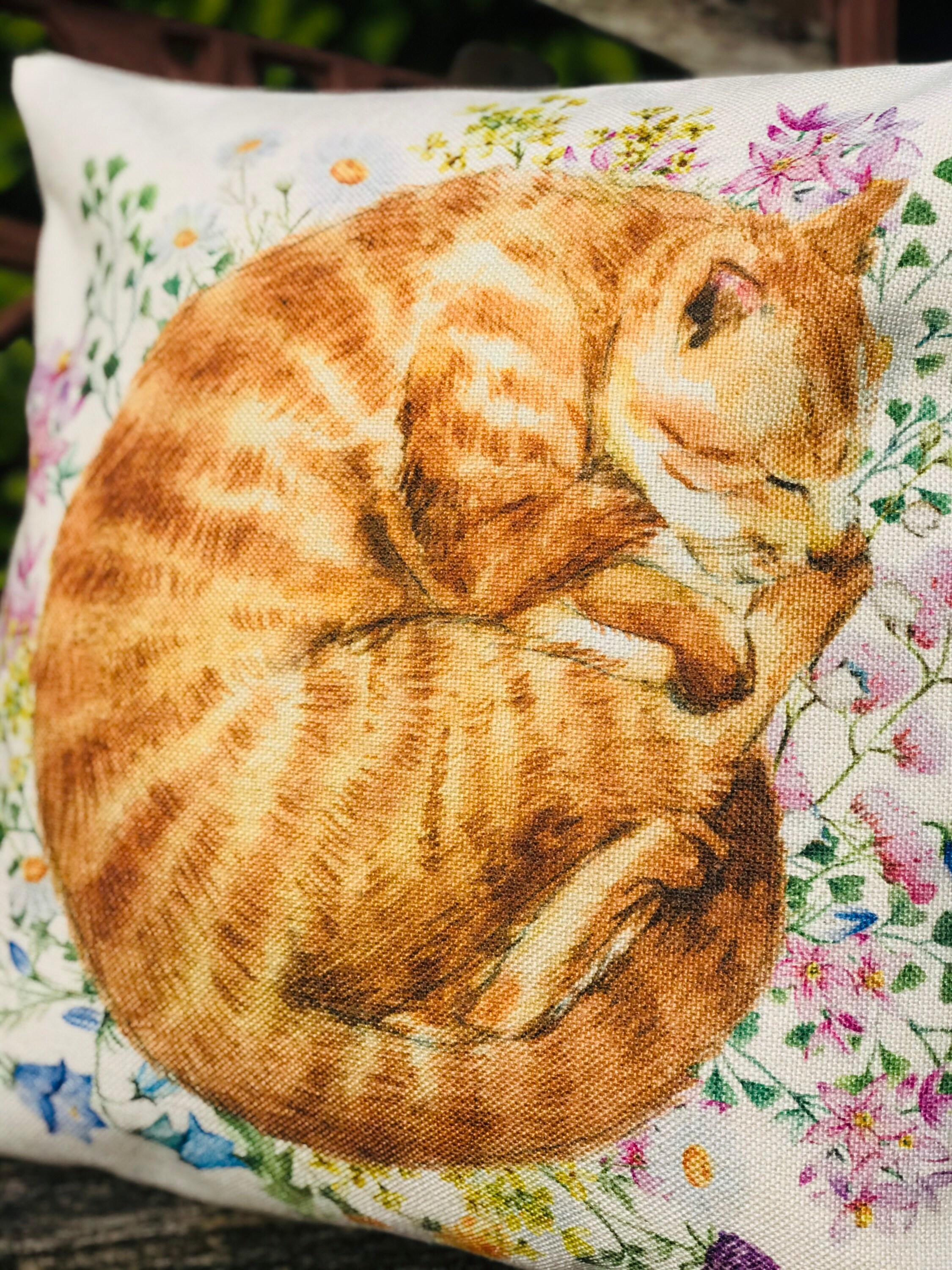Ginger Cat Cushion Cover Etsy