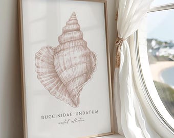 Küsten Muschel Druck - Muschel Muschel Druck, Strandhaus Muschel Wand Poster, Spiralmuschel Bild, Neutrale Wandkunst, Beige Wand Kunstdruck