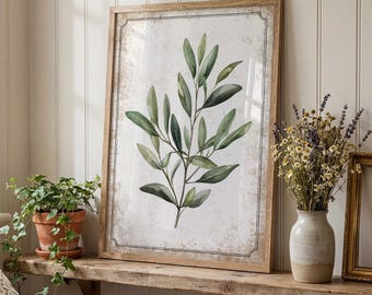 Vintage Botanical Print, Olive Branch Picture, Farmhouse Decor, Rustic Wall Art
