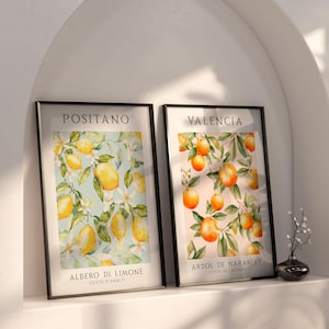 May include: Two framed prints with watercolor illustrations of citrus trees. The print on the left features a lemon tree with the text "Positano, Albero di Limone, Costa d'Amalfi". The print on the right features an orange tree with the text "Valencia, Arbol de Naranjas, Costa del Azahar".