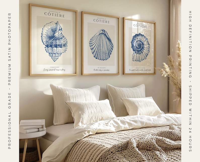 K&ouml;nnte beinhalten: Drei gerahmte Drucke mit Illustrationen von Muscheln. Die Drucke sind in einem hellen Holzrahmen und haben einen wei&szlig;en Hintergrund. Der Text auf den Drucken lautet "Cottiere" und "Jede Muschel hat eine Geschichte".