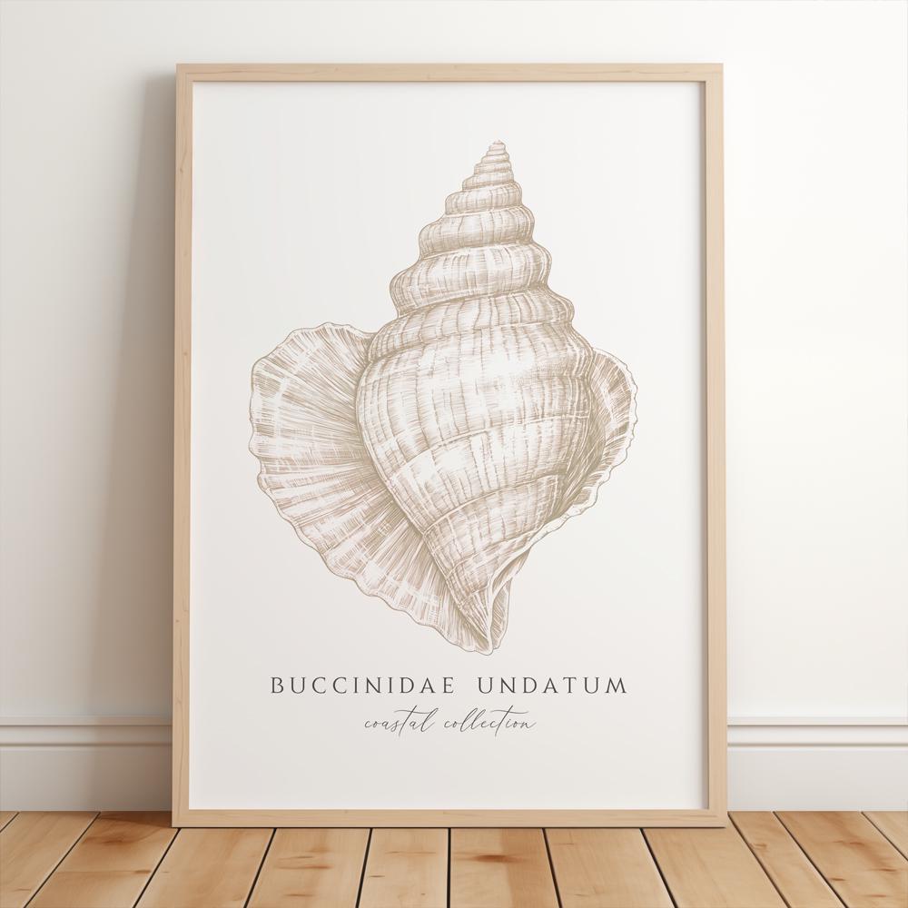 Coastal Seashell Print - Conch Shell Print, Beach House Shell Wall ...