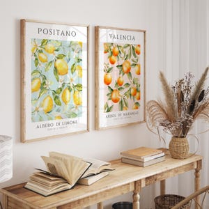 May include: Two framed prints with watercolor illustrations of citrus fruit. The print on the left features a lemon tree with the text "Positano, Albero di Limone, Costa d'Amalfi". The print on the right features an orange tree with the text "Valencia, Arbol de Naranjas, Costa del Azahar".