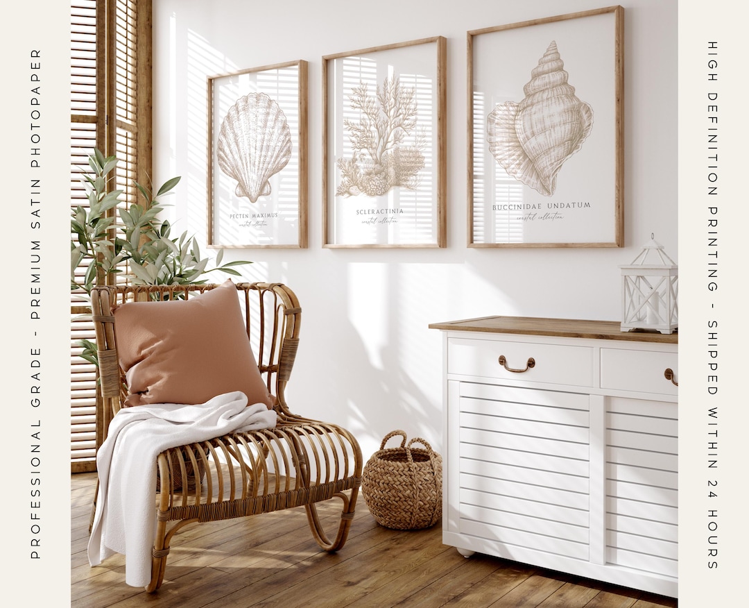Set of 3 Beige Coastal Wall Art Prints:, Neutral Seashell Decor for ...