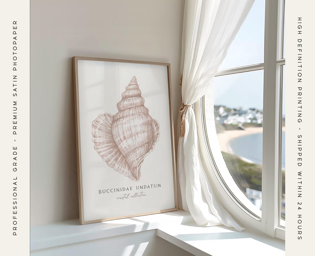 Coastal Seashell Print - Conch Shell Print, Beach House Shell Wall ...