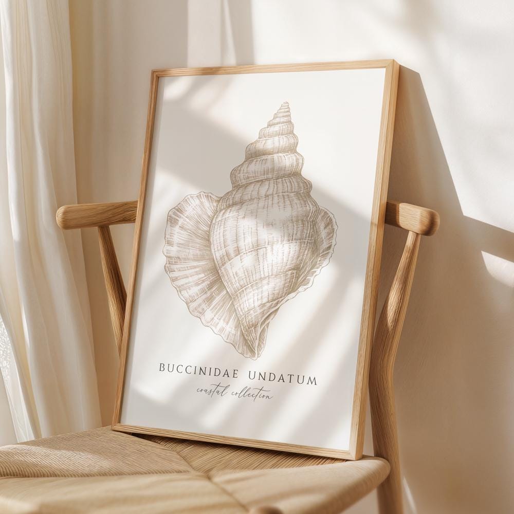 Coastal Seashell Print - Conch Shell Print, Beach House Shell Wall ...