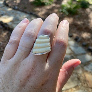Bague coquillage | bijoux en coquillages | Bague coquillage de plage | Coquille | bijoux bague coquillage