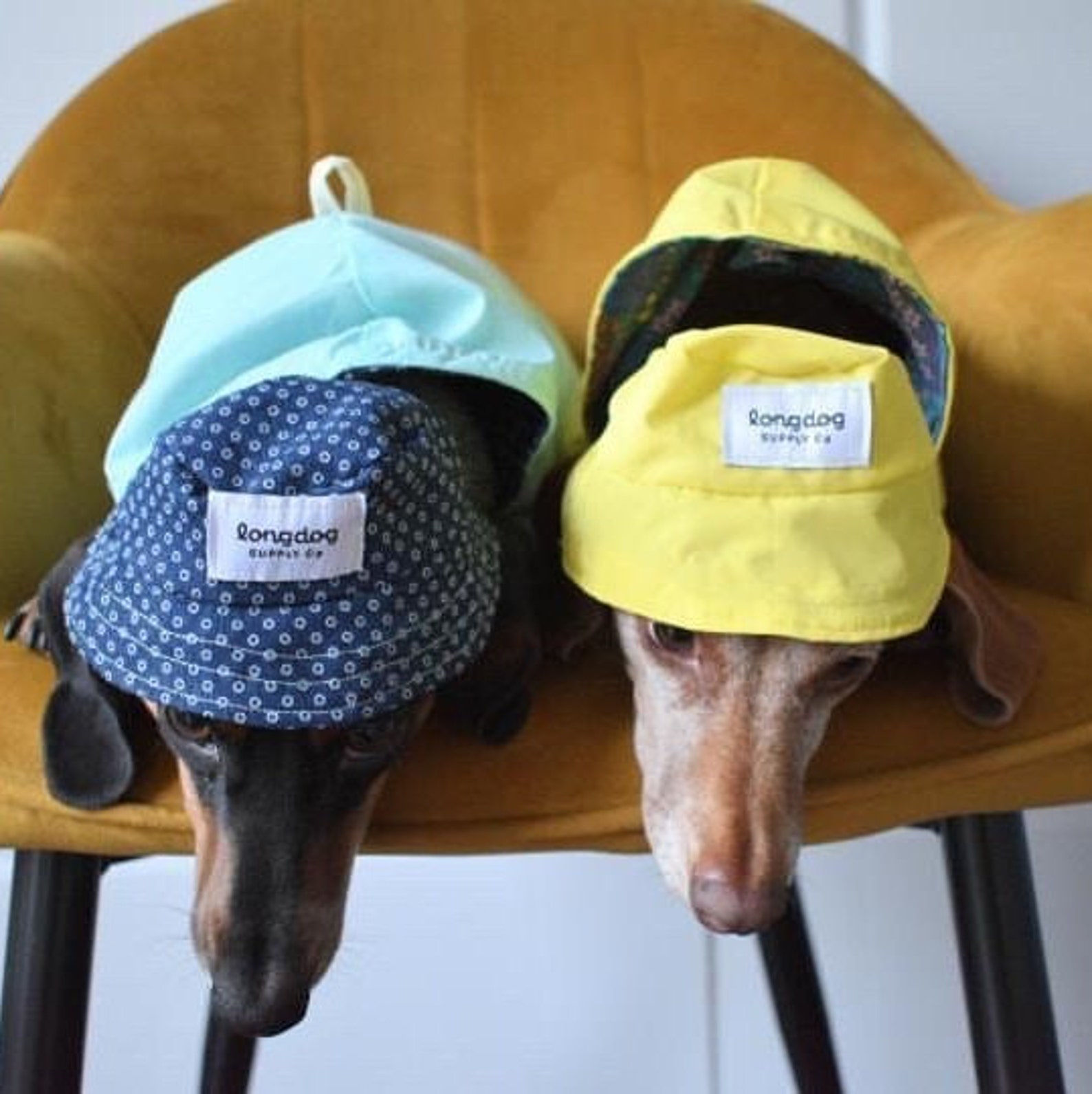 Bucket Hat for Dogs Small Dachshund Etsy Canada