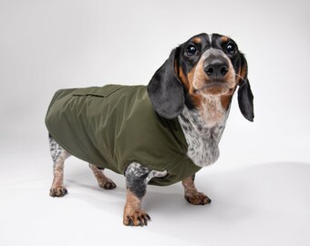 weiner dog coats