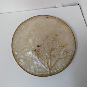 Capiz Circle Trivet with Dried Baby's Breath