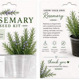 Rosemary seeds with 4" clear pot/25 seeds