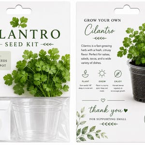 Cilantro seeds with 4" clear pot/25 seeds