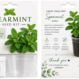 Spearmint seeds with 4" clear pot/25 seeds