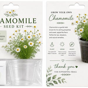 May include: A Chamomile Seed Kit in white packaging featuring text and illustrations of chamomile flowers. The kit includes a packet of seeds and a 4-inch clear plastic pot. The back of the card provides instructions for planting, growing, and harvesting.