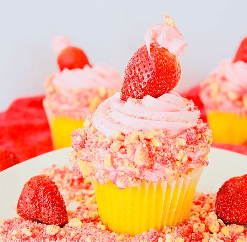 Made to Order Cupcakes Etsy