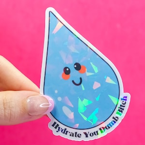 Sticker en vinyle Hydrate You Dumb Bitch//Rappel amusant de boire de l'eau Sticker découpé pour bouteille d'eau cahier de journalisation pour ordinateur portable