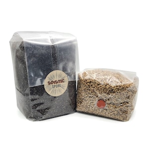 May include: Two clear plastic bags containing different types of grain. The bag on the left contains black grains and has a label that says "Seismic Spore". The bag on the right contains light brown grains.