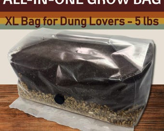 XXL All-in-One Mushroom Grow Bag - 5 Pounds