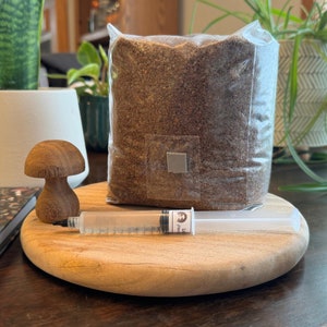 Lion&#39;s Mane Mushroom Substrate and Liquid Culture Grow Kit