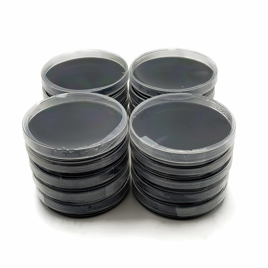 20 PrePoured Black Agar Plates Activated Charcoal Agar Petri Etsy