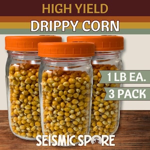May include: Three glass jars filled with yellow corn kernels, each topped with an orange lid. The jars are labeled "DRIPPY CORN" and "HIGH YIELD". The text "1 LB EA. 3 PACK" is also visible.