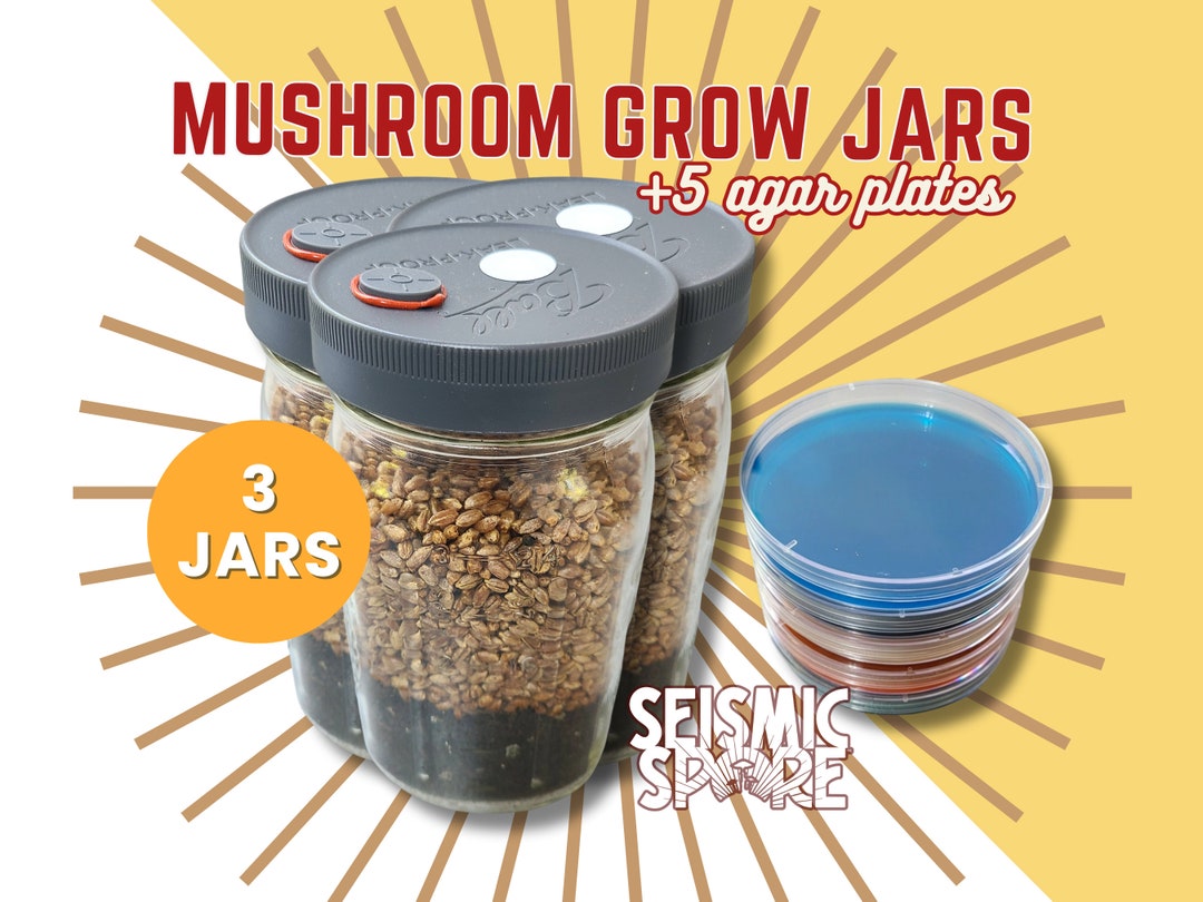 Mushroom Grow Jars 5 Agar Plates MEA 3 Quart Widemouth All in One Grow