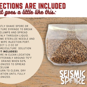 May include: A clear plastic bag filled with brown grains, labeled "Seismic Spore". Instructions for using the grains are printed on a yellow circle, including "Gently shake spore or culture syringe to break up clumps and spread evenly through liquid."