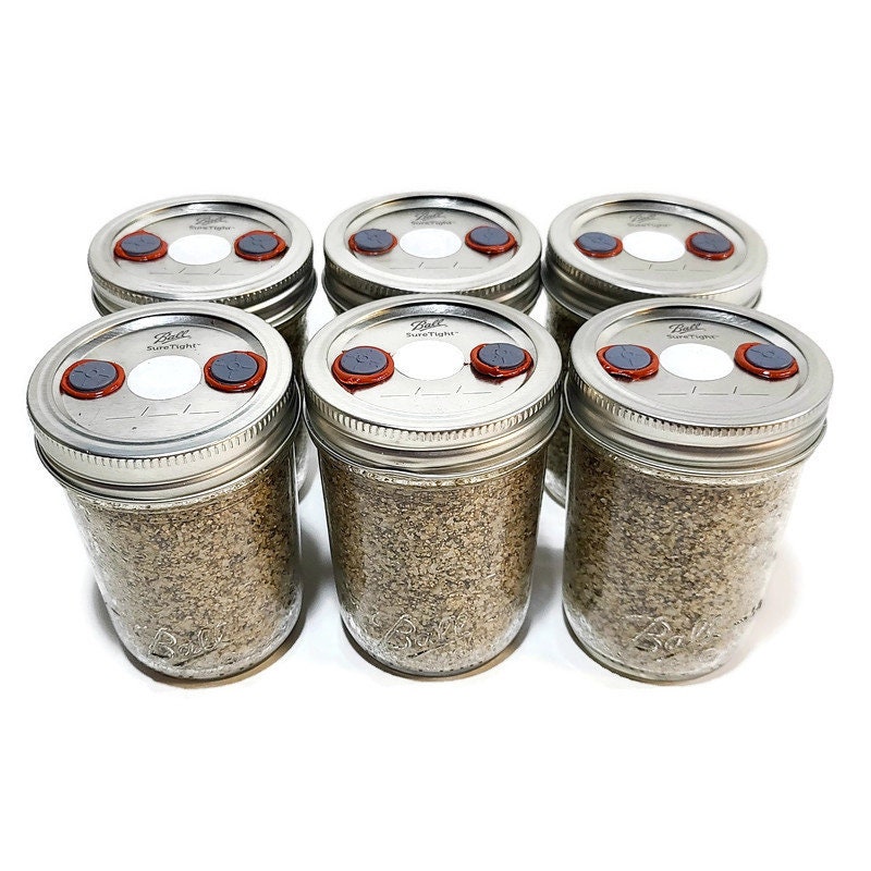 6x BRF Mushroom Substrate 1/2 Pint Organic Brown Rice Flour Etsy