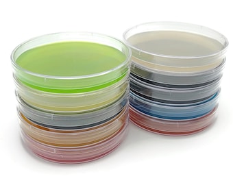 10x Pre-poured agar plates Malt Extract Agar (MEA) with Parafilm strips for mushroom growing
