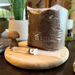 May include: A clear plastic bag filled with brown mushroom growing substrate, a wooden mushroom figurine, a clear plastic syringe, and a wooden round cutting board.