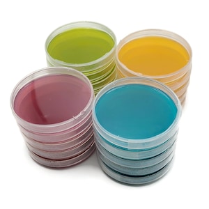 20 Sterile Malt Agar Petri Dishes: Assorted Colors, Precut Parafilm
