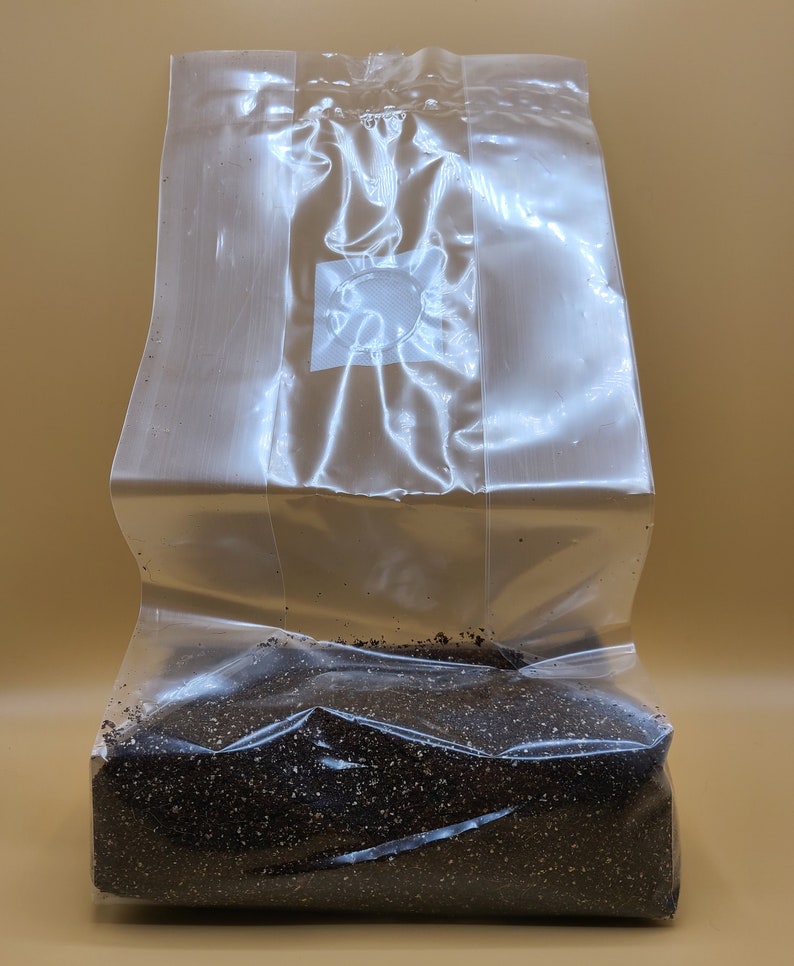 Mushroom Monotub Shoebox Grow Kit Allinone Rye Grain CVG Etsy