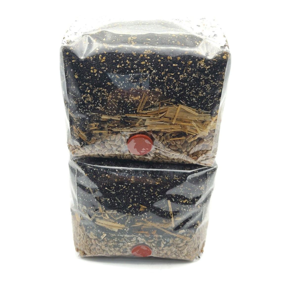 2x All in One Mushroom Grow Bags With Sterilized CVG and Rye Etsy
