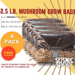 Mushroom Grow Bags: Organic Rye Berries & CVG Substrate - 4 Pack