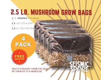 Mushroom Grow Bags: Organic Rye Berries & CVG Substrate - 4 Pack