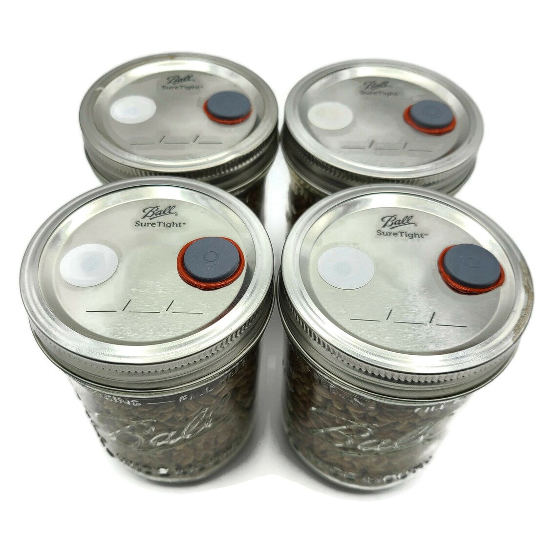 4x Sterilized Rye Grain Jars Pint Organic Rye Berry Mushroom Etsy